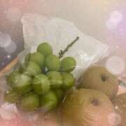 ヒメ日記 2025/08/20 17:24 投稿 こはる 西東京市小平ちゃんこ