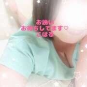 ヒメ日記 2025/09/16 21:15 投稿 こはる 西東京市小平ちゃんこ
