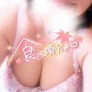 ヒメ日記 2025/09/22 13:30 投稿 こはる 西東京市小平ちゃんこ