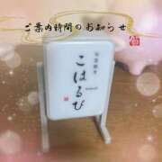ヒメ日記 2025/09/23 22:22 投稿 こはる 西東京市小平ちゃんこ