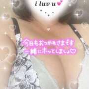 ヒメ日記 2025/10/22 16:00 投稿 こはる 西東京市小平ちゃんこ