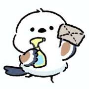 ヒメ日記 2025/11/04 15:56 投稿 こはる 西東京市小平ちゃんこ