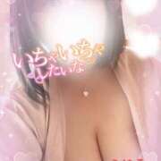 ヒメ日記 2025/11/06 16:00 投稿 こはる 西東京市小平ちゃんこ