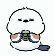 ヒメ日記 2025/12/13 22:30 投稿 こはる 西東京市小平ちゃんこ