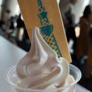 ヒメ日記 2026/01/09 16:37 投稿 こはる 西東京市小平ちゃんこ