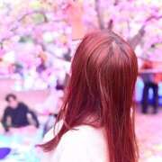 ヒメ日記 2026/04/07 10:37 投稿 つぐみ ハピネス水戸