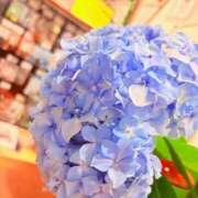 ヒメ日記 2026/06/18 14:15 投稿 つぐみ ハピネス水戸