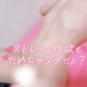 ヒメ日記 2025/06/30 11:55 投稿 こむぎ ハピネス水戸