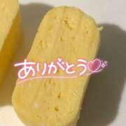 ヒメ日記 2025/07/02 09:15 投稿 こむぎ ハピネス水戸