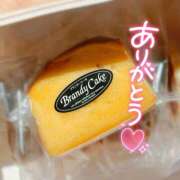 ヒメ日記 2025/07/04 09:41 投稿 こむぎ ハピネス水戸