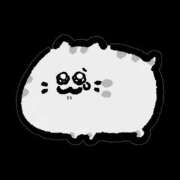 ヒメ日記 2025/07/05 21:22 投稿 こむぎ ハピネス水戸