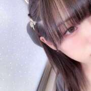 ヒメ日記 2025/09/03 10:27 投稿 こむぎ ハピネス水戸