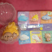 ヒメ日記 2025/09/04 07:12 投稿 こむぎ ハピネス水戸