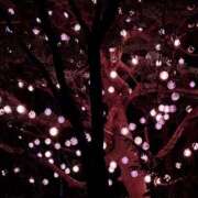 ヒメ日記 2025/09/10 22:26 投稿 こむぎ ハピネス水戸