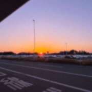 ヒメ日記 2026/01/27 19:52 投稿 こむぎ ハピネス水戸