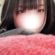 ヒメ日記 2026/01/28 11:54 投稿 こむぎ ハピネス水戸