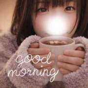 ヒメ日記 2026/01/29 08:48 投稿 こむぎ ハピネス水戸