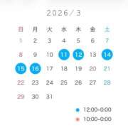 ヒメ日記 2026/02/25 18:28 投稿 こむぎ ハピネス水戸