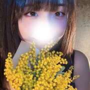 ヒメ日記 2026/03/12 00:21 投稿 こむぎ ハピネス水戸