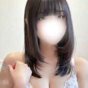 ヒメ日記 2026/03/15 12:30 投稿 こむぎ ハピネス水戸