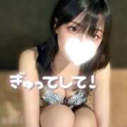 ヒメ日記 2026/04/17 12:30 投稿 こむぎ ハピネス水戸