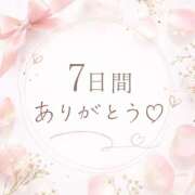 こむぎ 7日間ありがとう?? ハピネス水戸