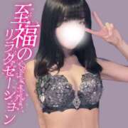 ヒメ日記 2026/07/24 12:00 投稿 こむぎ ハピネス水戸