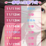 ヒメ日記 2025/11/11 23:56 投稿 みつ ハピネス水戸