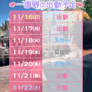 ヒメ日記 2025/11/16 10:52 投稿 みつ ハピネス水戸