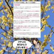 ヒメ日記 2026/03/19 12:44 投稿 まひろ ハピネス水戸