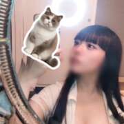 ヒメ日記 2026/03/04 07:16 投稿 ヒメカ COCOMERO（ココメロ）