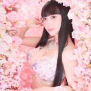 ヒメ日記 2026/03/12 19:01 投稿 ヒメカ COCOMERO（ココメロ）