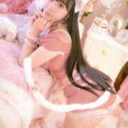 ヒメ日記 2026/03/31 11:31 投稿 ヒメカ COCOMERO（ココメロ）