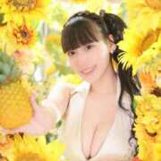 ヒメ日記 2026/06/10 02:46 投稿 ヒメカ COCOMERO（ココメロ）