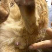 ヒメ日記 2025/06/26 17:55 投稿 柏木ほのか 新ハイブリッドエステ エクスタシーPLUS