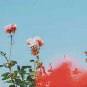 ヒメ日記 2025/07/15 17:21 投稿 れんか 胡蝶蘭