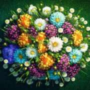 ヒメ日記 2025/08/07 10:43 投稿 れんか 胡蝶蘭