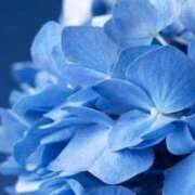 ヒメ日記 2025/08/08 14:51 投稿 れんか 胡蝶蘭