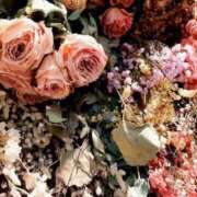 ヒメ日記 2025/08/12 19:17 投稿 れんか 胡蝶蘭