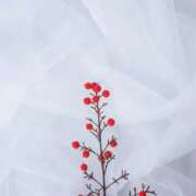 ヒメ日記 2025/08/16 15:38 投稿 れんか 胡蝶蘭