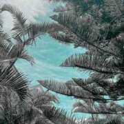 ヒメ日記 2025/08/28 18:07 投稿 れんか 胡蝶蘭