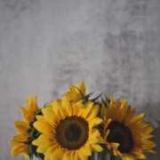 ヒメ日記 2025/10/02 16:37 投稿 れんか 胡蝶蘭