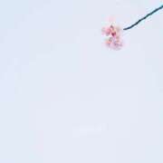 れんか 🌙退勤🌙 胡蝶蘭