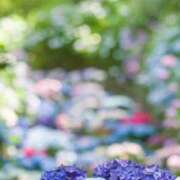 れんか 🌟退勤🌟 胡蝶蘭