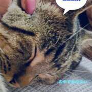 ヒメ日記 2025/10/22 22:39 投稿 伊集院　蘭 30・40・50代☆人妻熟女コレクション