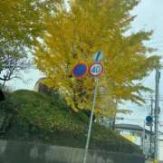 ヒメ日記 2025/11/10 00:32 投稿 伊集院　蘭 30・40・50代☆人妻熟女コレクション