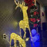 ヒメ日記 2025/11/15 23:28 投稿 伊集院　蘭 30・40・50代☆人妻熟女コレクション