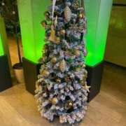 ヒメ日記 2025/12/10 21:16 投稿 伊集院　蘭 30・40・50代☆人妻熟女コレクション