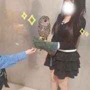 ヒメ日記 2026/03/18 01:14 投稿 小川なち HYPER TOKYO