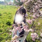 ヒメ日記 2026/04/03 20:14 投稿 小川なち HYPER TOKYO